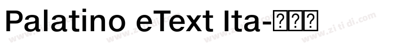 Palatino eText Ita字体转换 Palatino eText Ita字体转换